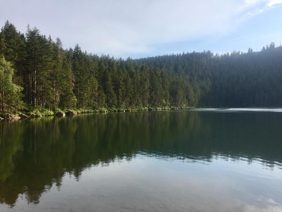 Apartmán “U nás v podkroví“ v Rezidenci Klostermann, Železná Ruda 24 Zelezna Ruda Exterior foto