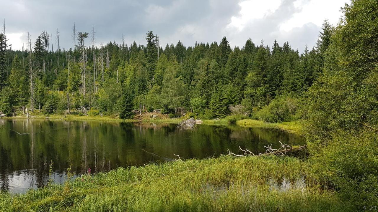 Apartmán “U nás v podkroví“ v Rezidenci Klostermann, Železná Ruda 24 Zelezna Ruda Exterior foto