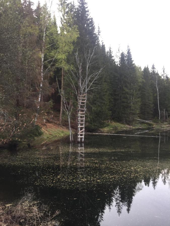 Apartmán “U nás v podkroví“ v Rezidenci Klostermann, Železná Ruda 24 Zelezna Ruda Exterior foto